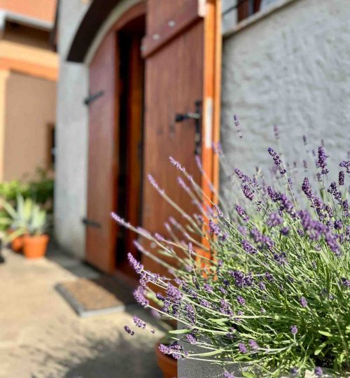 19Ubytovani 08 2025 -