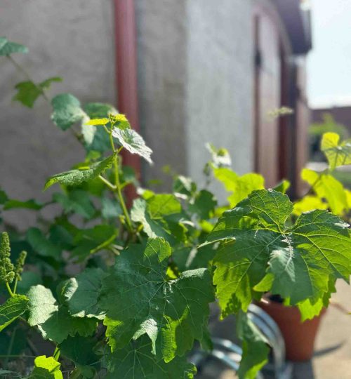 21Ubytovani 08 2025 -